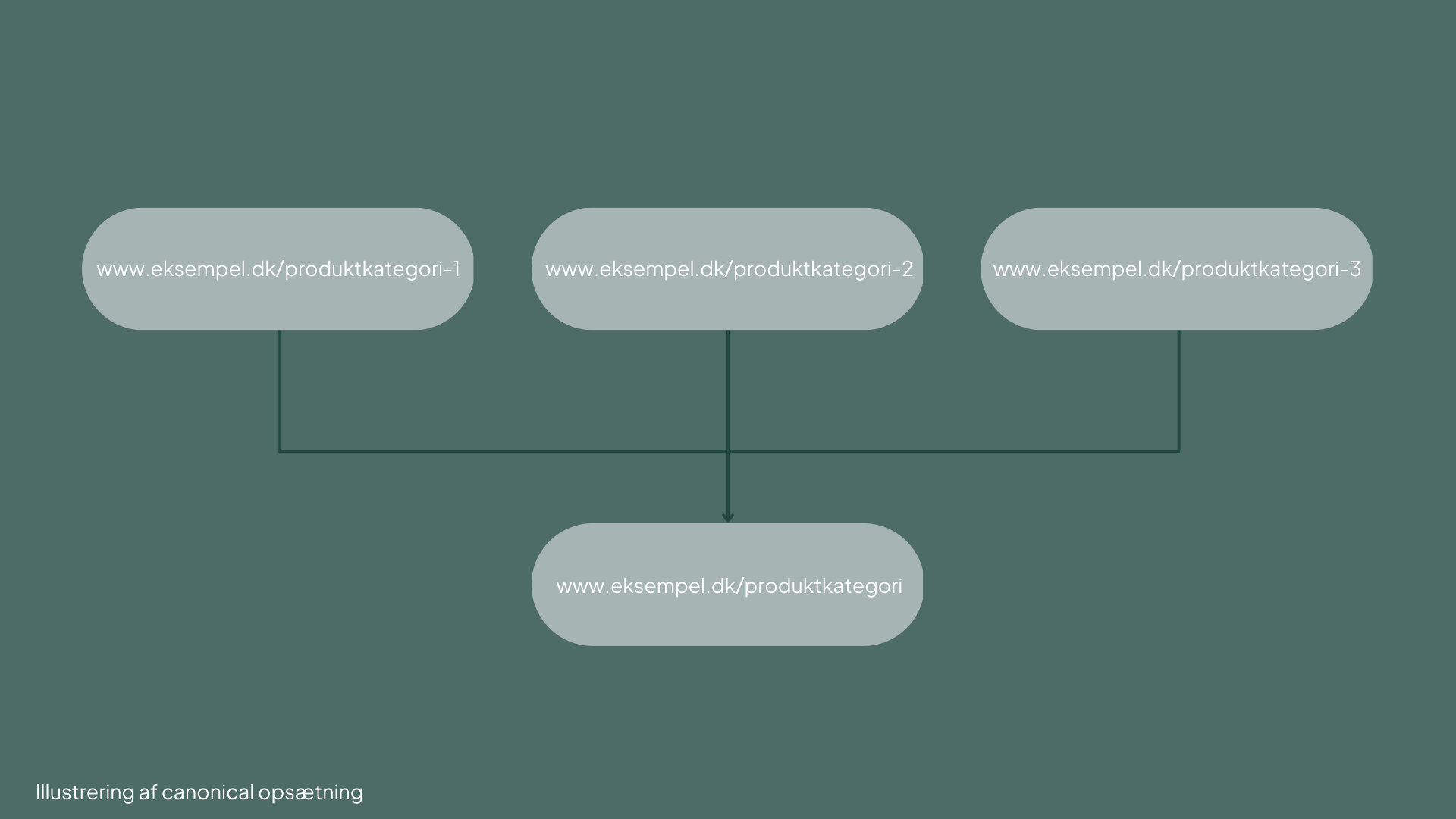 Illustrering af canonical opsætning